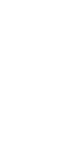 Sermanav_schetch_structure_navale